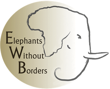 Elephants Without Borders