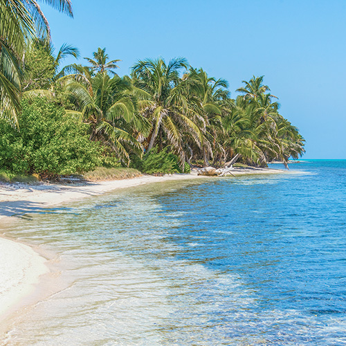 Property Development and Interior Design